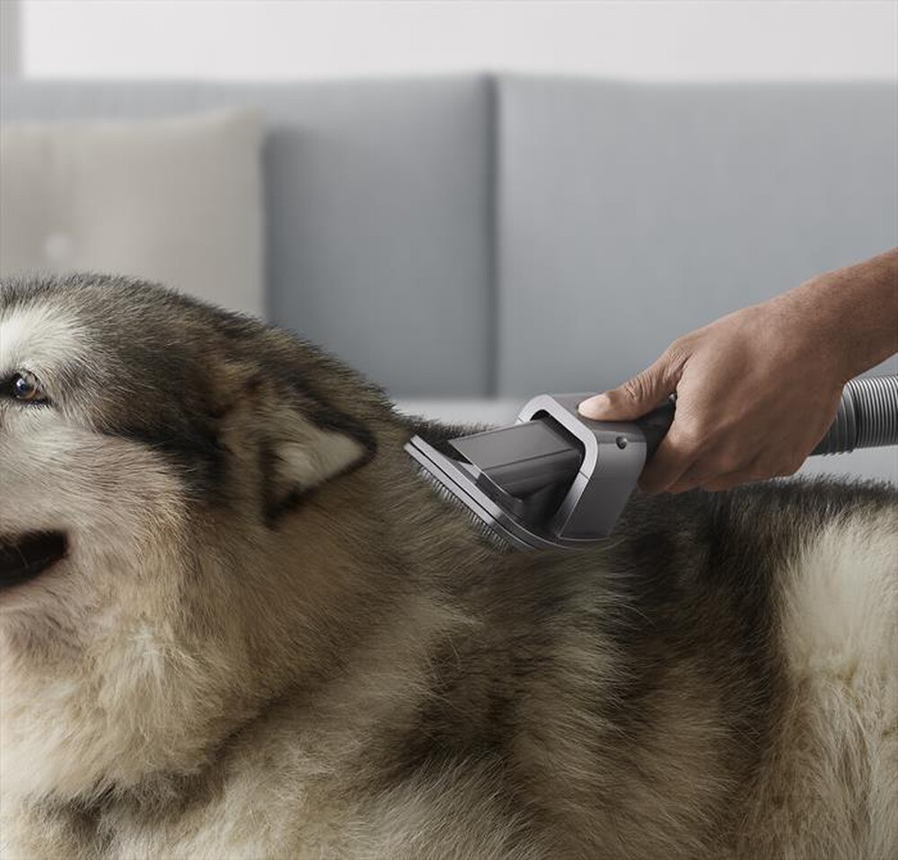 "DYSON - KIT PER LA CURA DEGLI ANIMALI"
