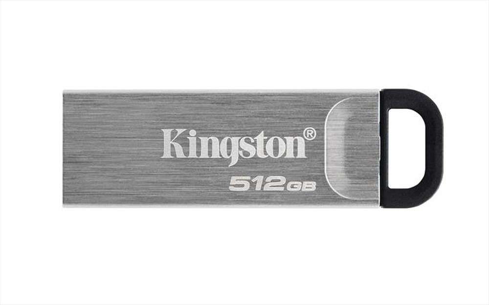 Immagine del prodotto KINGSTON - Memoria 512 GB DTKN/512GB-SILVER