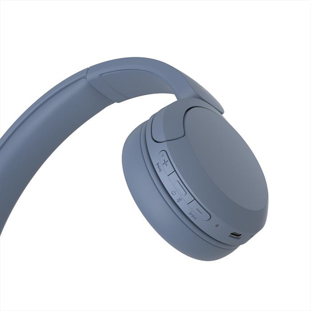 "SONY - Cuffie a padiglione chiuso WHCH520L.CE7-Blu"