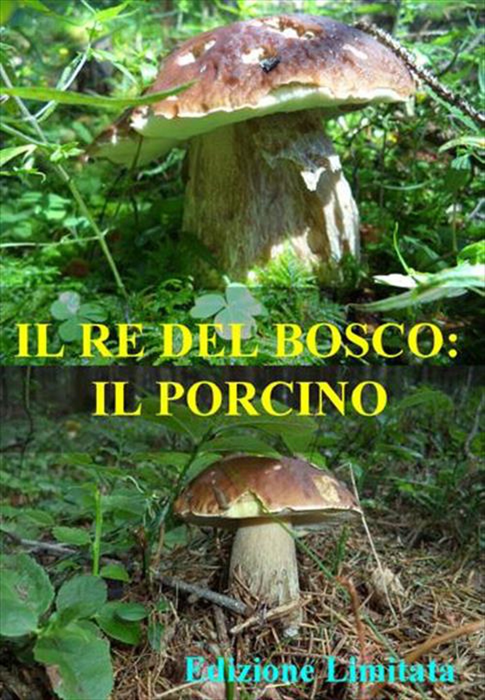"DNA - Re Del Bosco (Il) - Il Porcino"