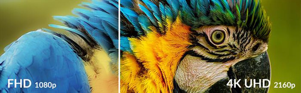 Immagine del prodotto STRONG - ADNROID TV BOX 9.0 NETFLIX COMANDI VOCALI LEAP-S3-nero