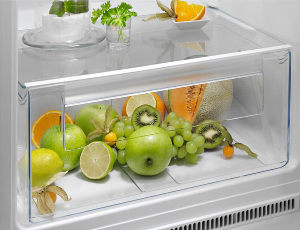 Immagine del prodotto ELECTROLUX - Frigorifero 2 porte ETS5LE16S Classe E 249 lt