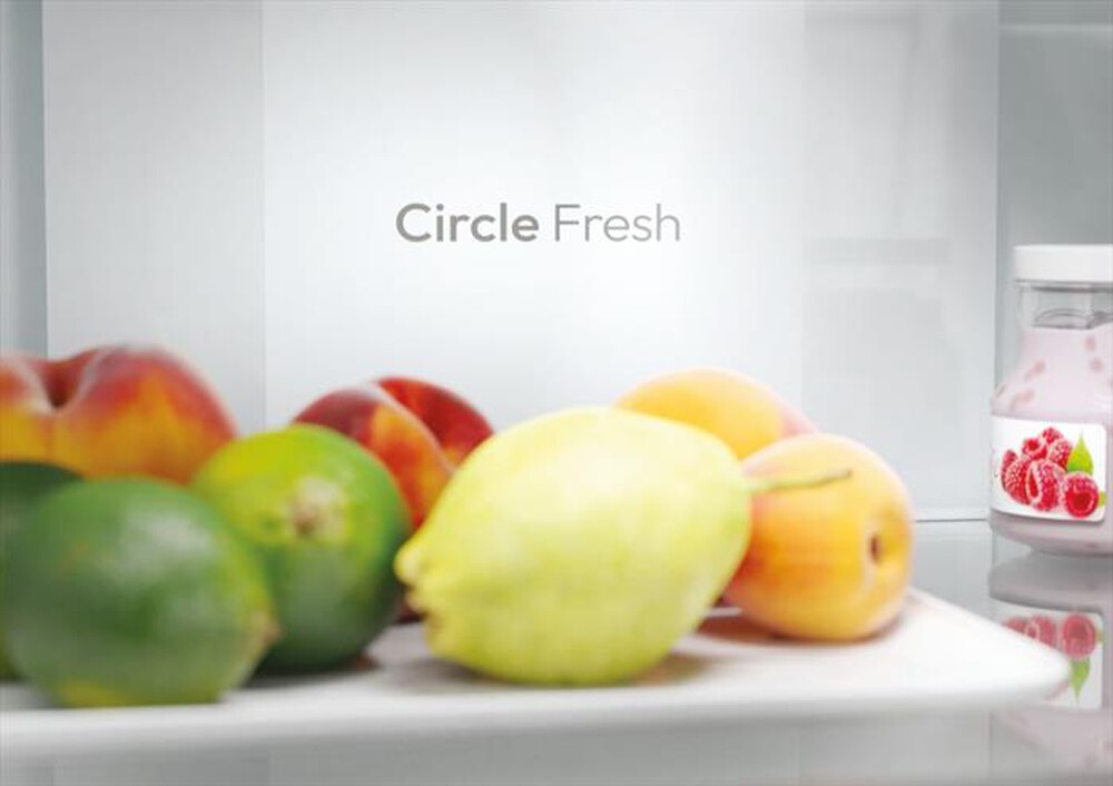 "CANDY - Frigorifero combinato CNCQ2T618EW Classe E 355 lt-Bianco"