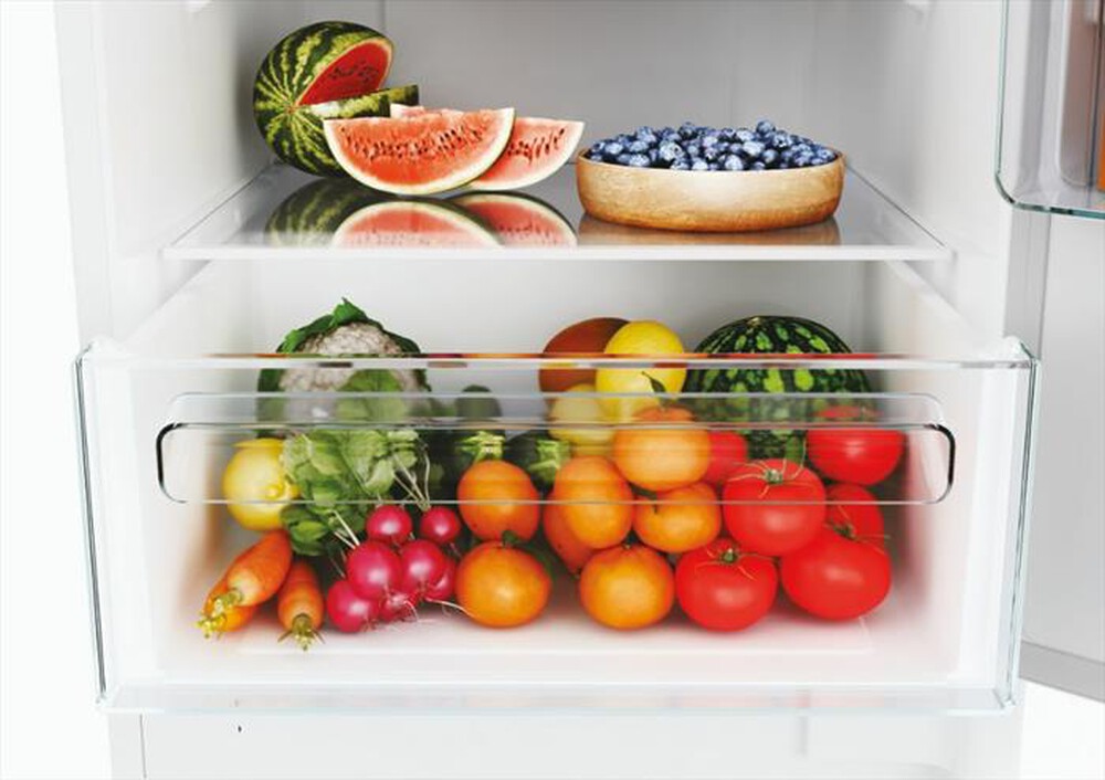 Immagine del prodotto CANDY - Frigorifero combinato CBT3518EW Classe E 248 lt-Bianco