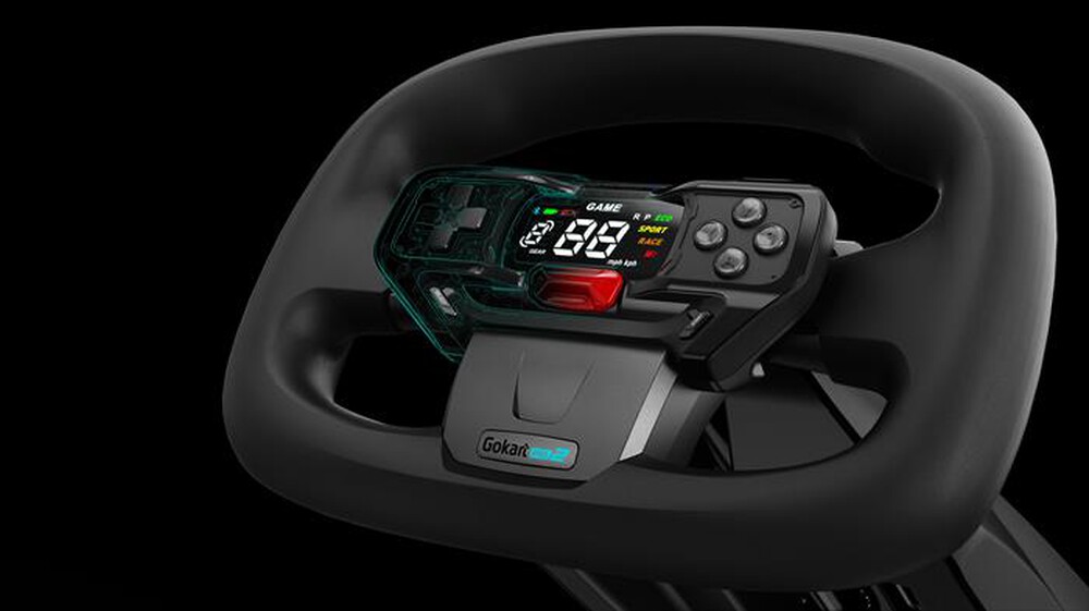 "SEGWAY - NINEBOT GOKART PRO 2-Grigio"