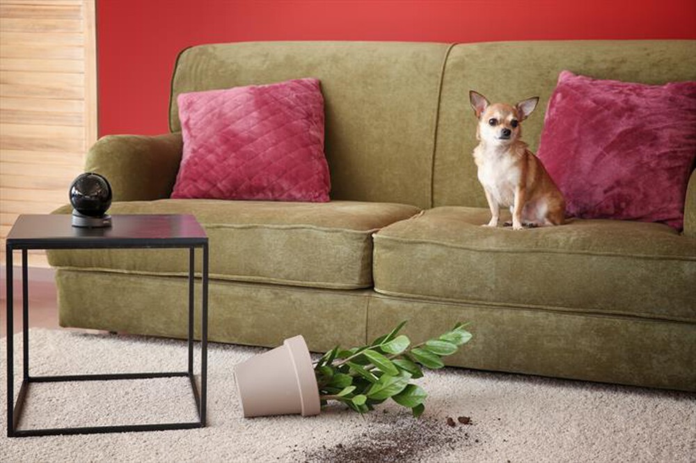 Immagine del prodotto IMOU - Telecamera da interno motorizzata REX 3D 3K-NERO