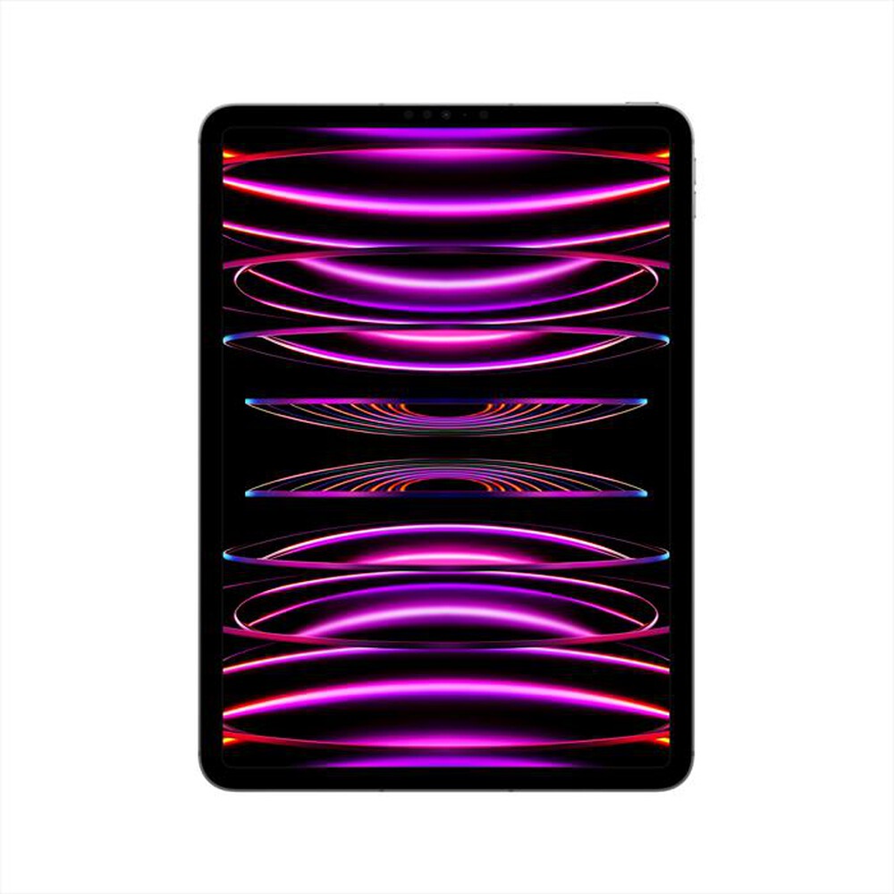 Immagine del prodotto APPLE - iPad Pro 11" WI-FI + CELLULAR 256GB-Grigio Spaziale