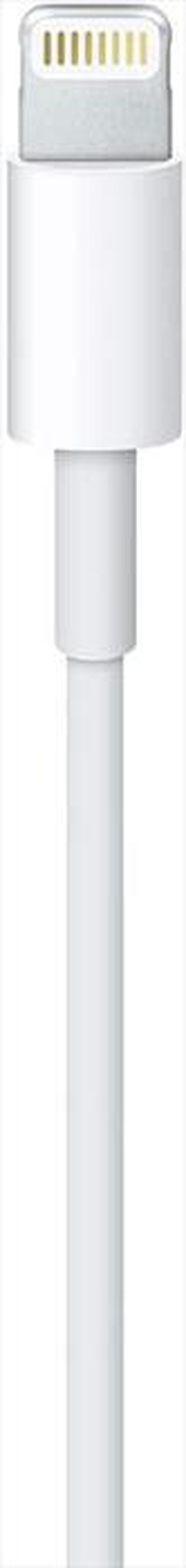 "APPLE - Cavo da Lightning a USB (1m)"