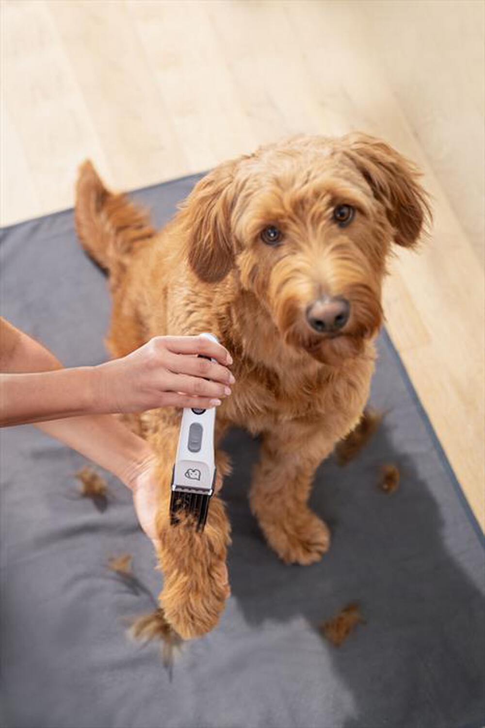 Immagine del prodotto BEURER - Tosatrice PP 110 FLUFFY-Bianco