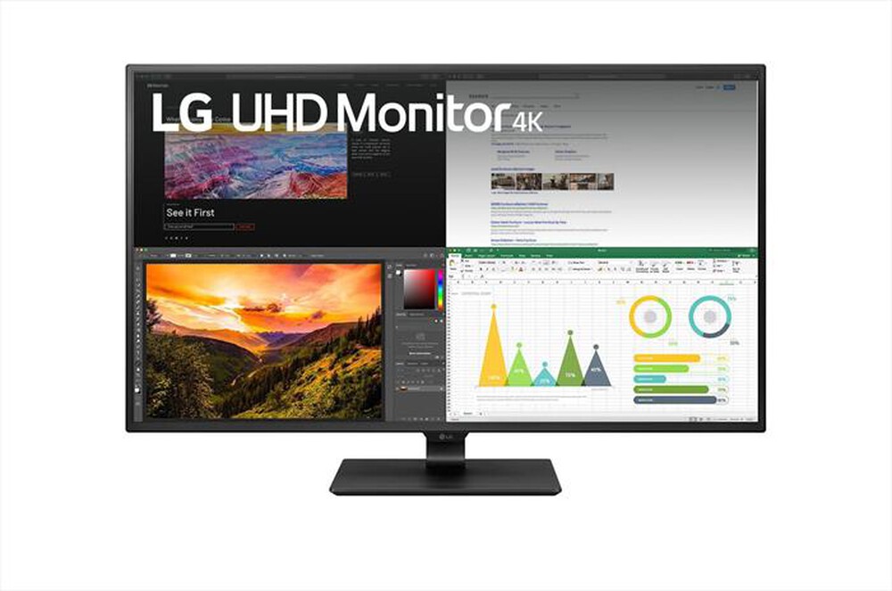 "LG - Monitor LED 43\" 43BN70UP"