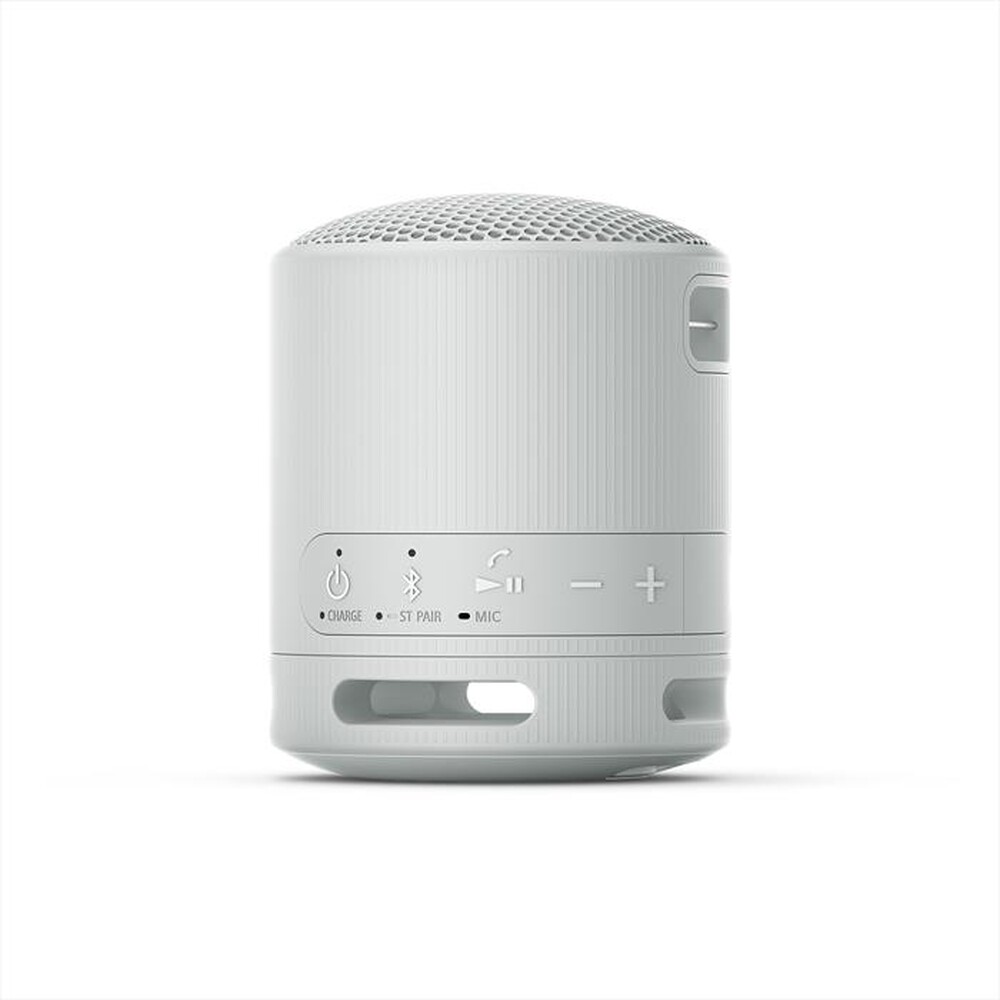 "SONY - Speaker SRSXB100H.CE7-Grigio"