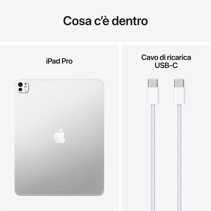 APPLE - iPad Pro 13