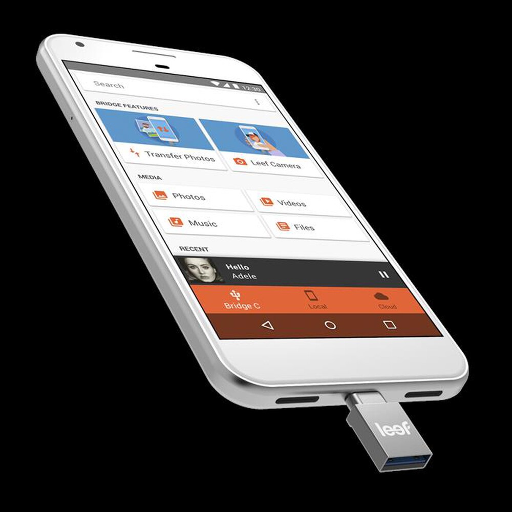 "LEEF - BRIDGE TYPE C 32GB-Black"