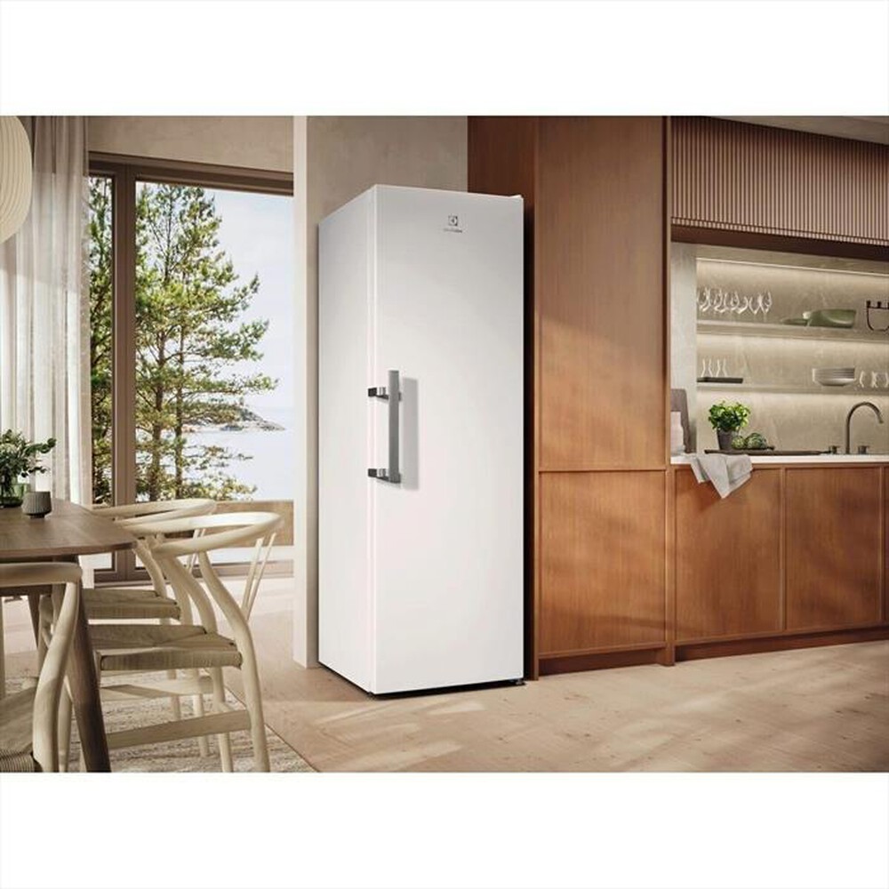 Immagine del prodotto ELECTROLUX - Frigorifero 1 porta LRS3DE39W Classe E 395 lt-Bianco