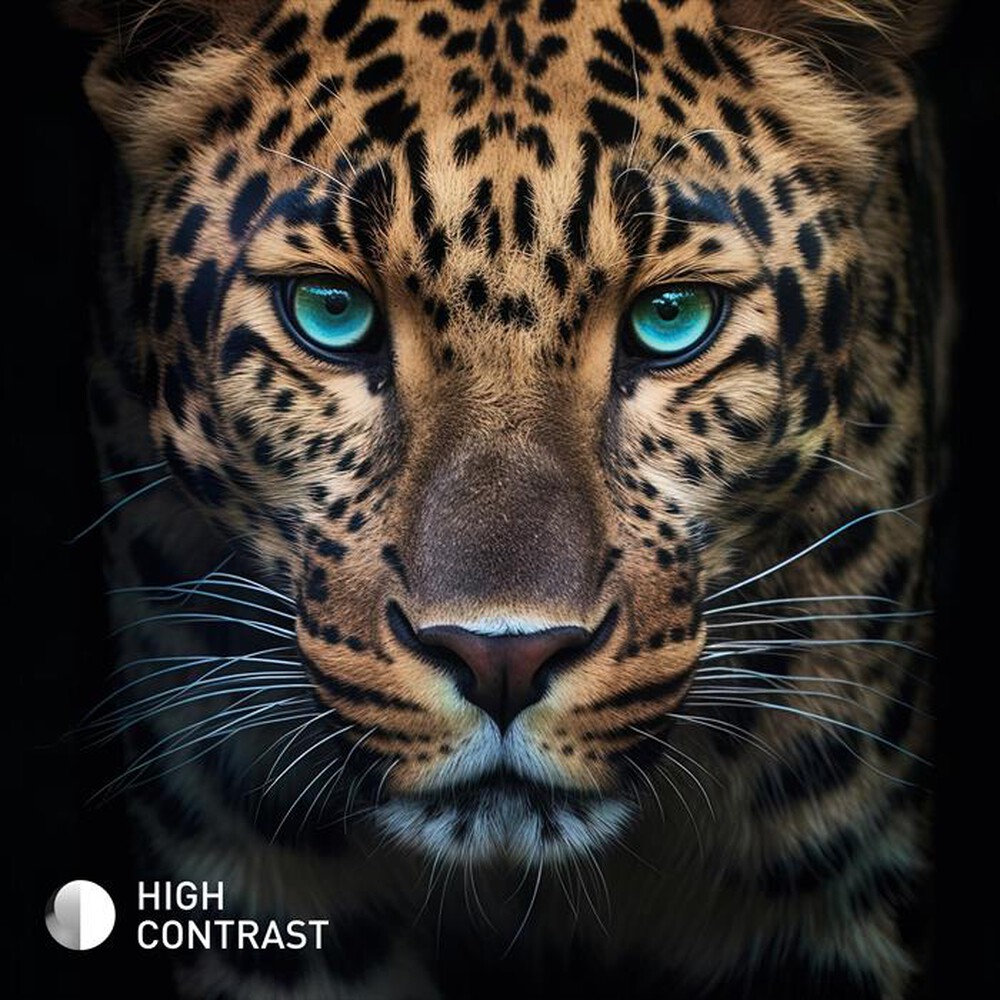 Immagine del prodotto PANASONIC - Smart TV LED FHD 32" TB-32S45AEZ-Nero