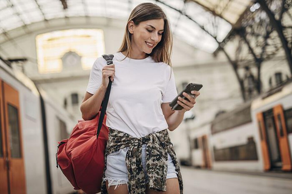 "CELLULARLINE - Batteria portatile LINC-C-Grigio"