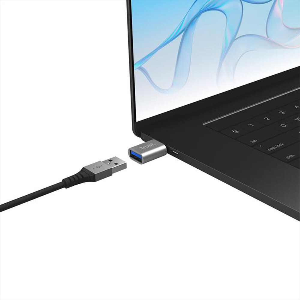 Immagine del prodotto TRUST - CALYX USB-C TO USB-A ADAPTER 2PACK-Grey