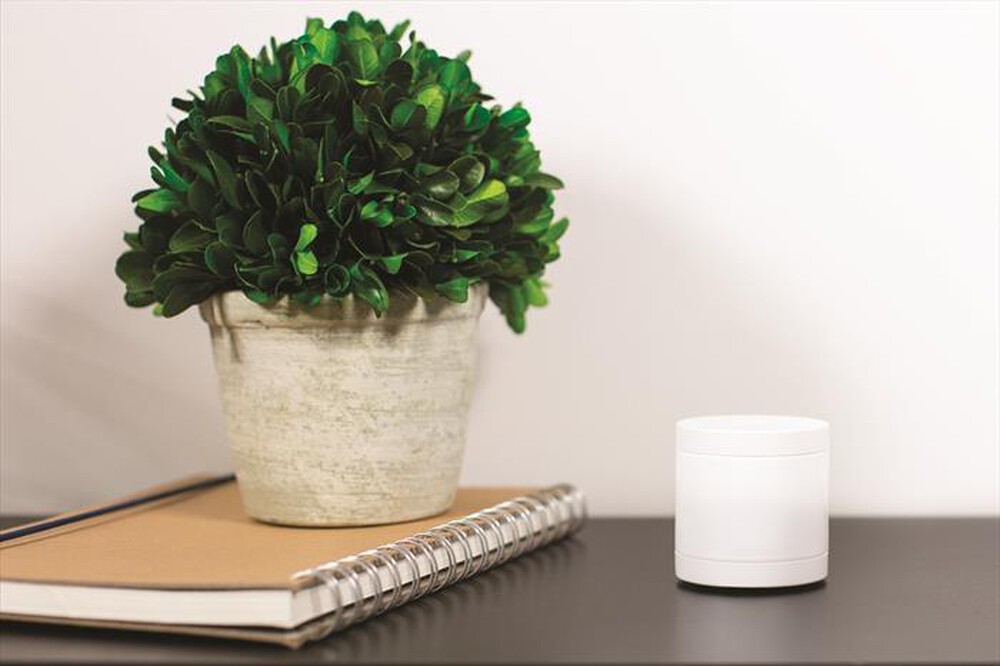 "SOMFY - SENSORE DI MOVIMENTO-White"