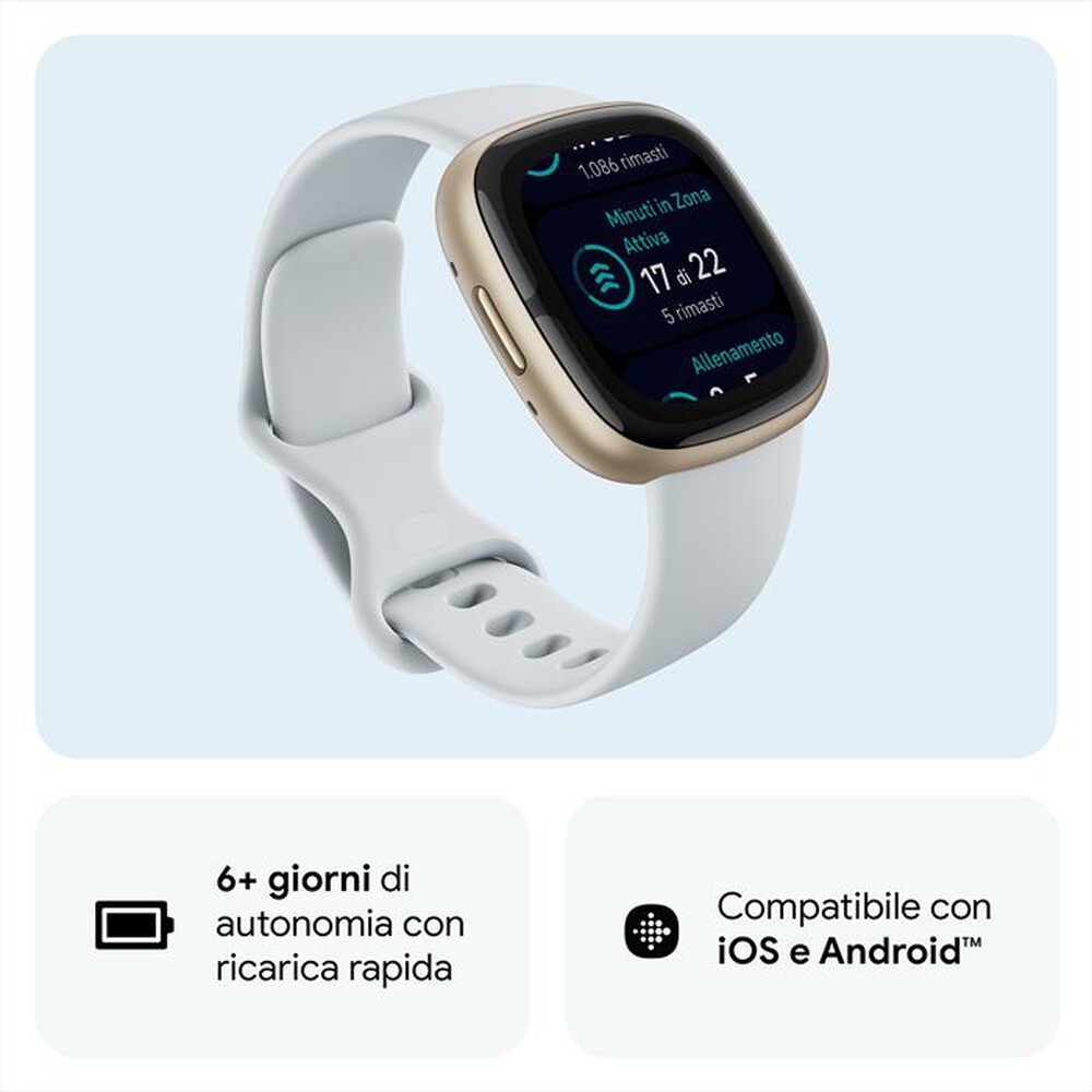 "FITBIT - SENSE 2 - FB521GLBM-BLU /ALLUMINIO"