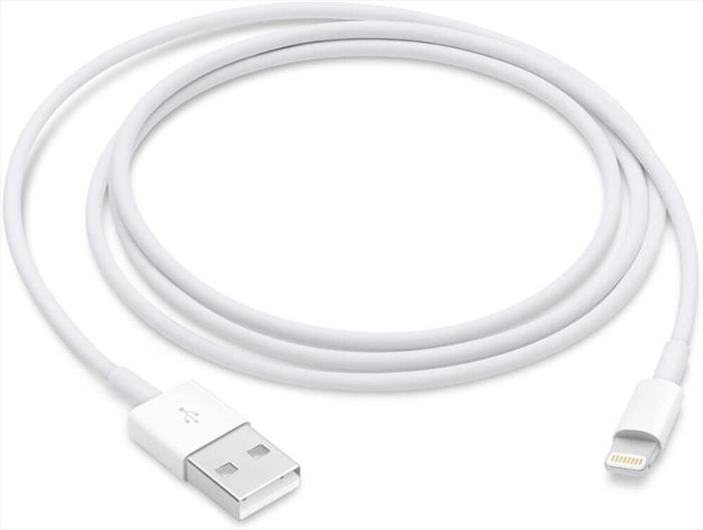 Immagine del prodotto APPLE - Cavo da Lightning a USB (1m)