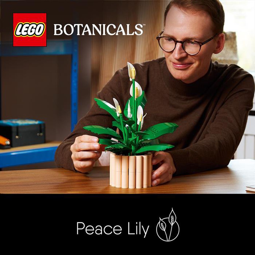 Immagine del prodotto LEGO - BOTANICALS Spatifillo - 11504