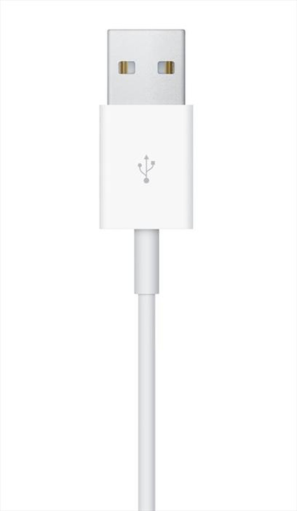Immagine del prodotto APPLE - Cavo magnetico per la ricarica di Apple Watch 1m-Bianco
