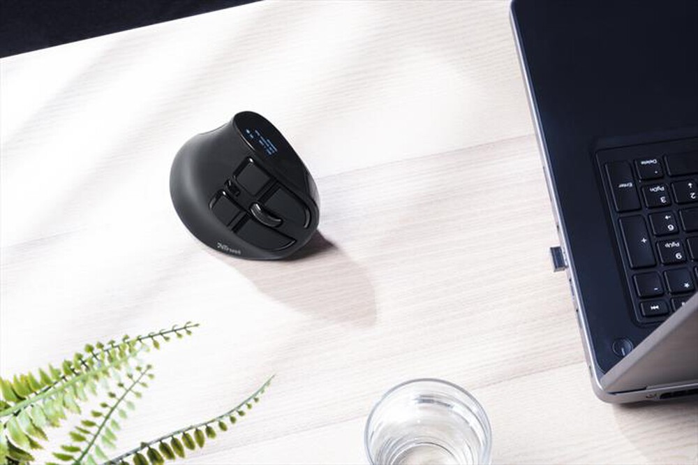 "TRUST - VOXX ERGONOMIC RECHARGEABLE MOUSE-Black"