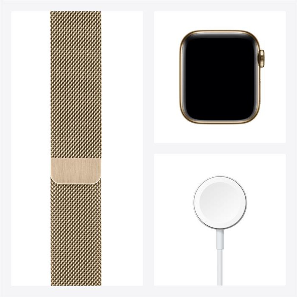 "APPLE - Watch Series 6 GPS+Cellular 40mm Acciaio Oro-Gold Milanese Loop"