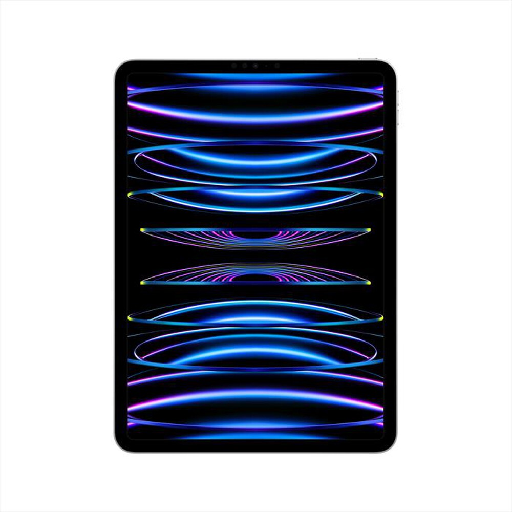 "APPLE - iPad Pro 11\" WI-FI 512GB-Argento"