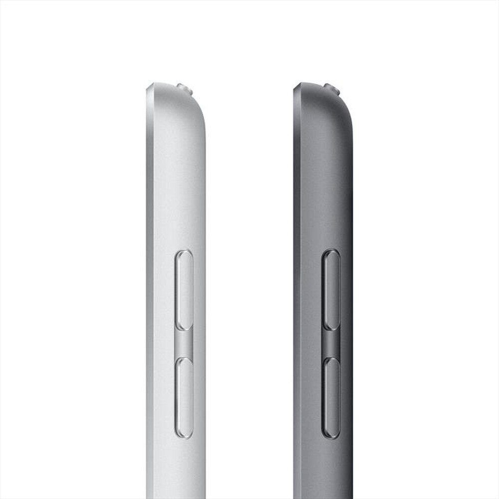 Immagine del prodotto APPLE - iPad 10.2" Wifi 64GB-Argento