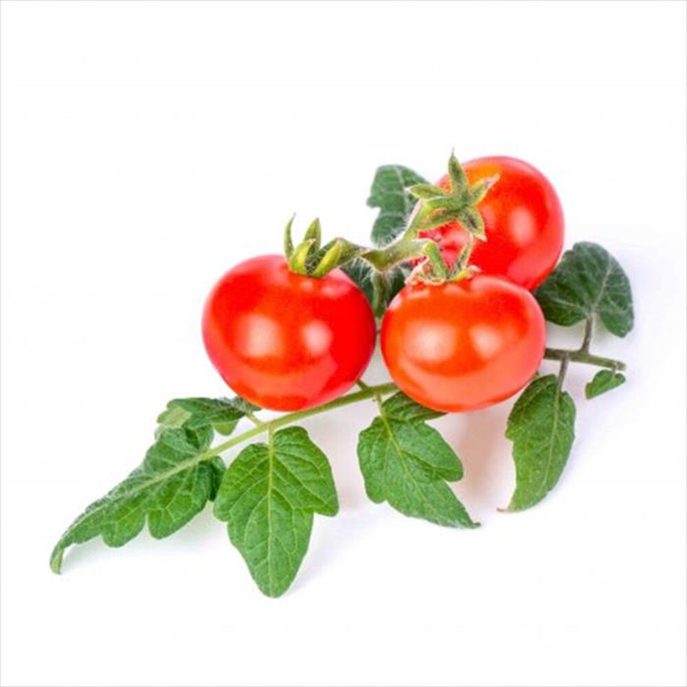 "VERITABLE - Lingots - Mini Pomodori rossi"