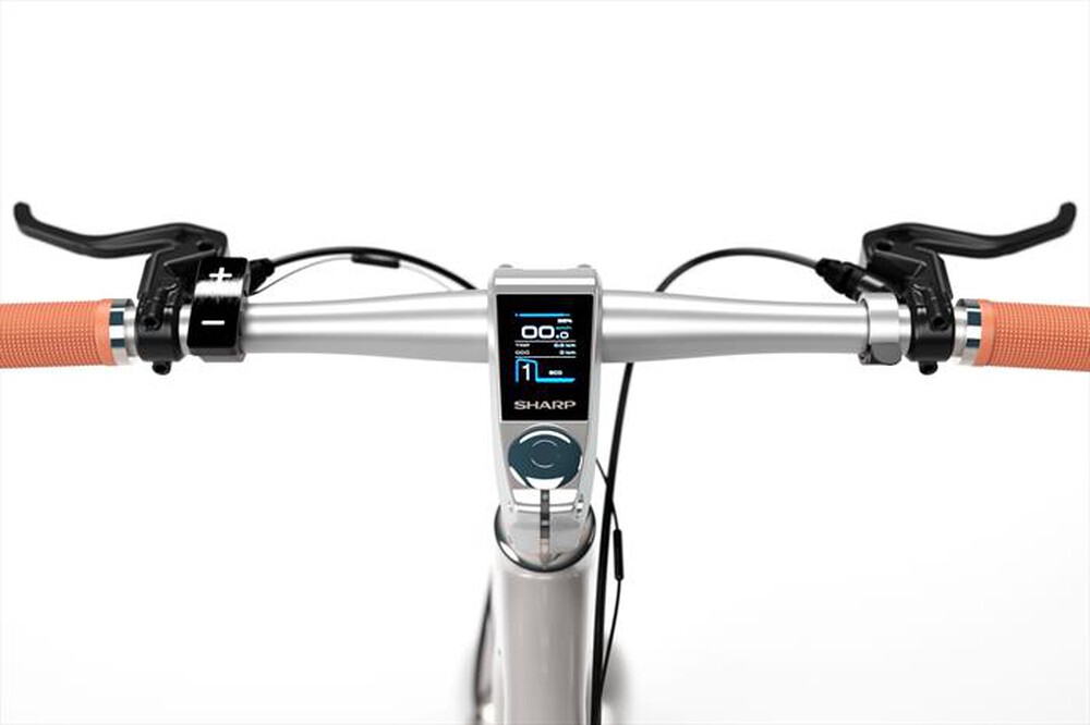 "SHARP - Bici elettrica a pedalata assistita BK-RS08E-S-Silver"