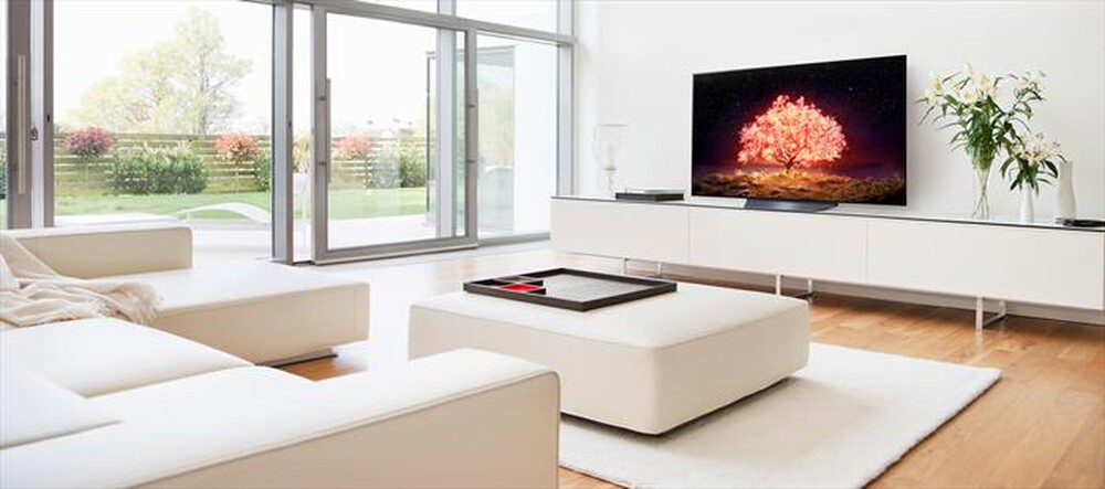 "LG - Smart TV OLED 4K 65\" OLED65B16LA-Blu"