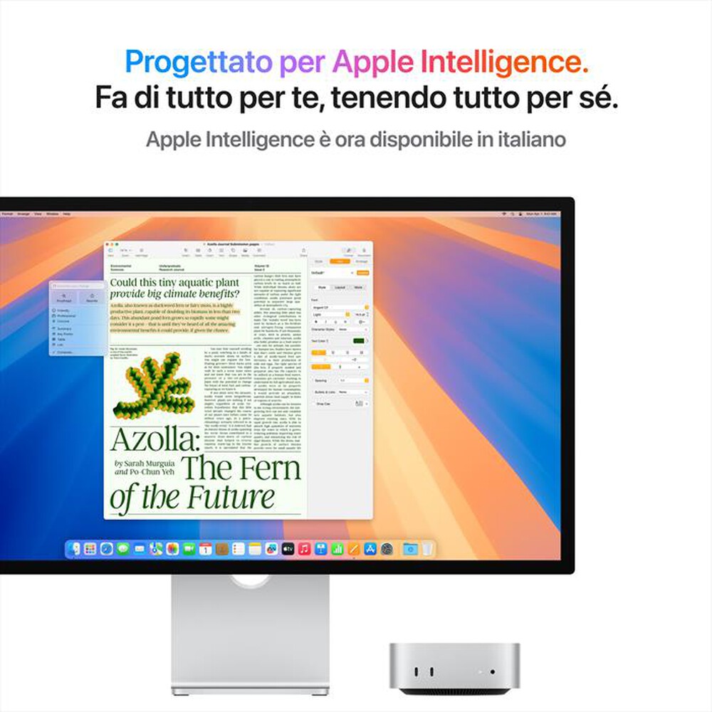 "APPLE - Mac Mini M4 Core 10 CPU 10 GPU 16GB 256GB SSD-Argento"