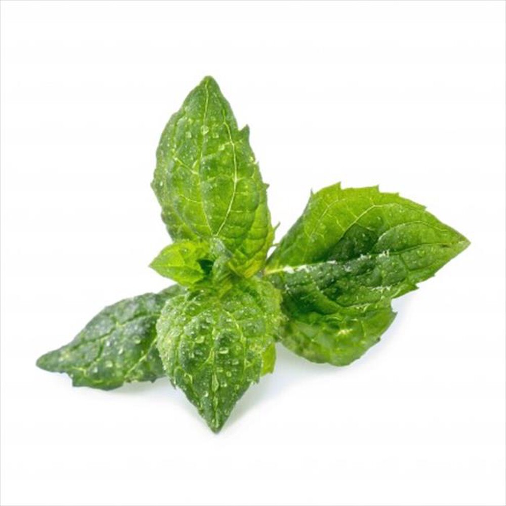 "VERITABLE - Lingots - Menta"