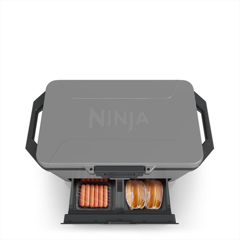 "NINJA - FRIGO PORTATILE FROSTVAULT 47LT-Grigio"
