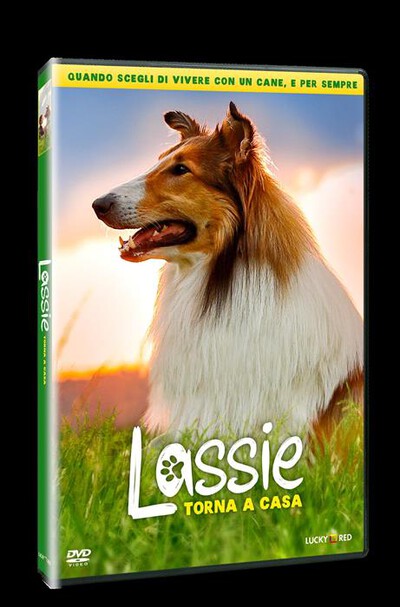LUCKY RED - Lassie Torna A Casa