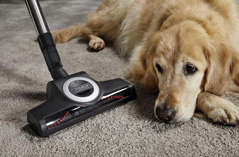 "MIELE - Aspirapolvere a traino C3 CAT&DOG POWE-Rosso rubino"