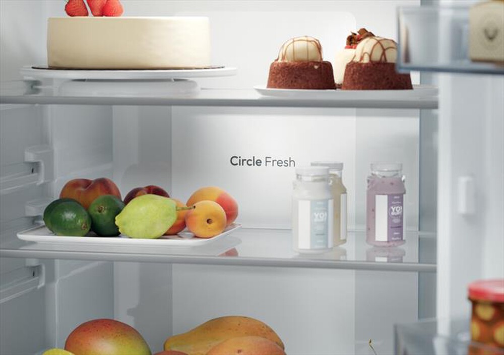 Immagine del prodotto CANDY - Frigorifero combinato CNBQT3719EW Classe E 382 lt-Bianco