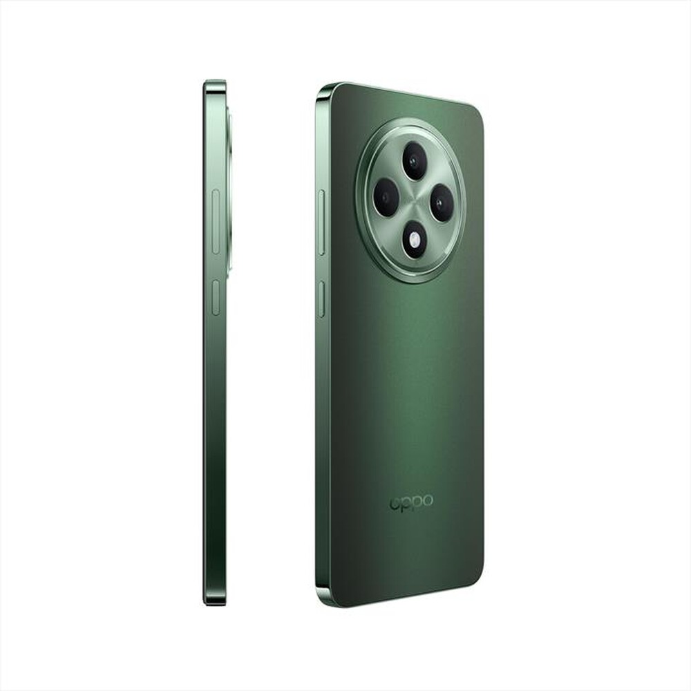 "OPPO - RENO12 F 5G 8+256-Black Green"
