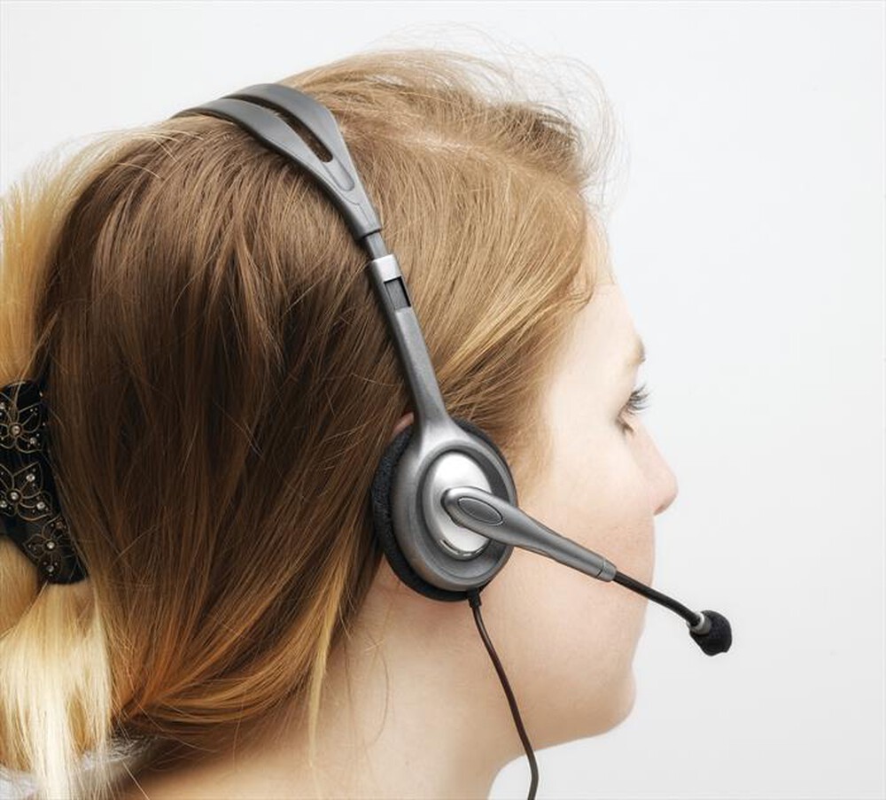 Immagine del prodotto LOGITECH - STEREO HEADSET H111-Grigio