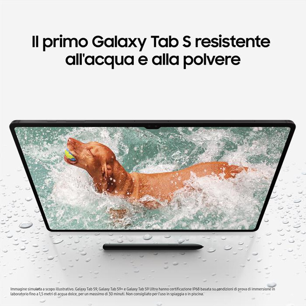 "SAMSUNG - Galaxy Tab S9 Wi-Fi (12GB / 256GB)-Graphite"