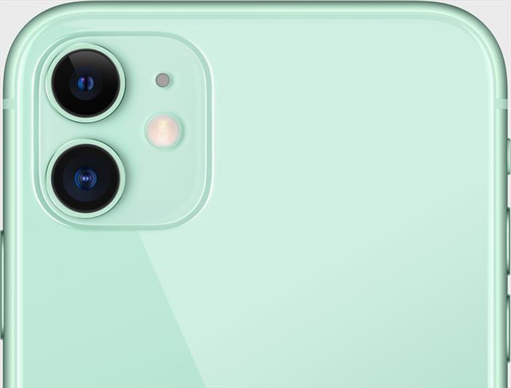 "APPLE - iPhone 11 64GB (Senza accessori)-Verde"