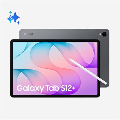 SAMSUNG - GALAXY TAB S12+ 256GB WI-FI-Gray