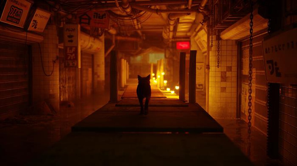 "SKYBOUND - STRAY PS5"