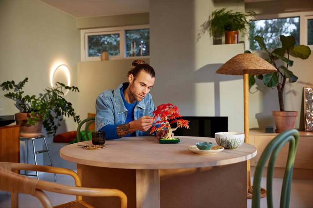 Immagine del prodotto LEGO - BOTANICALS Bonsai di acero rosso giapponese 10348