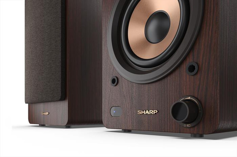 Immagine del prodotto SHARP - Home Theatre CP-SS30(BR)-marrone