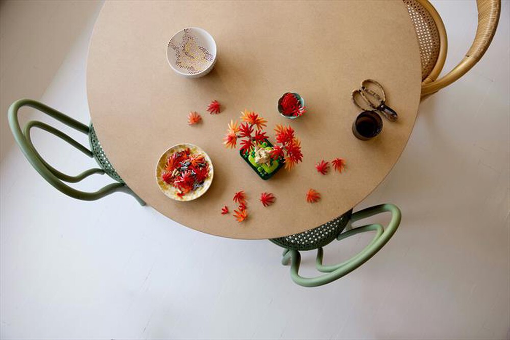 Immagine del prodotto LEGO - BOTANICALS Bonsai di acero rosso giapponese 10348