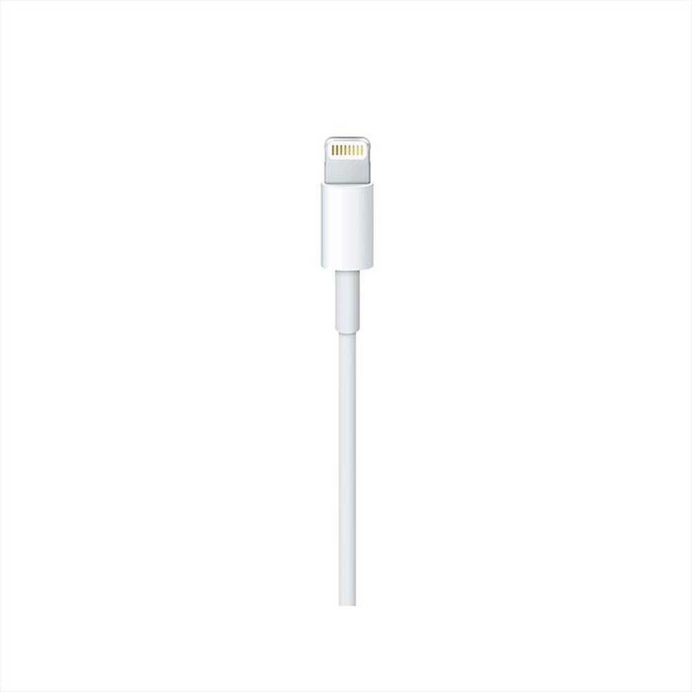 Immagine del prodotto APPLE - Cavo da Lightning a USB-C (2 m)