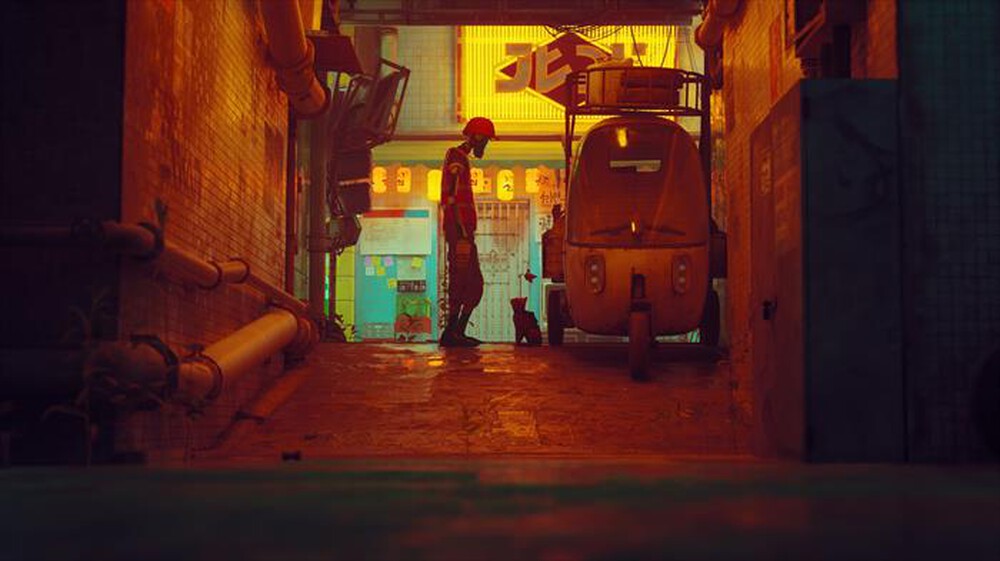 Immagine del prodotto SKYBOUND - STRAY PS5